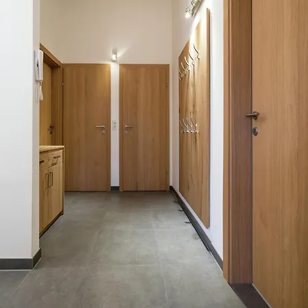 Penthouse In In Piesendorf, Cleaning Included *