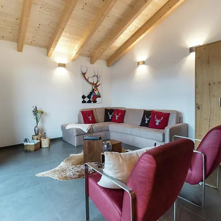 Penthouse In In Piesendorf, Cleaning Included *